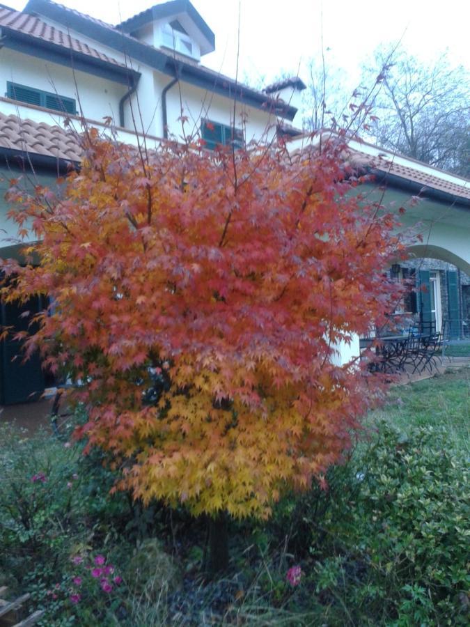 B&B Villa Paola Savona Exterior foto